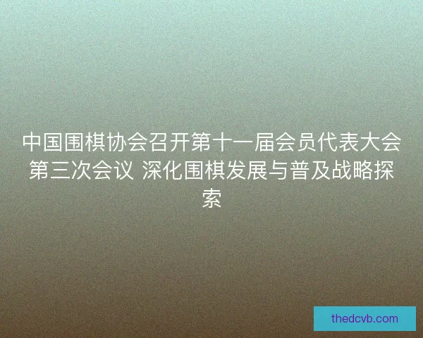 中国围棋协会召开第十一届会员代表大会第三次会议 深化围棋发展与普及战略探索 中国围棋协会召开第十一届会员代表大会第三次会议 深化围棋发展与普及战略探索