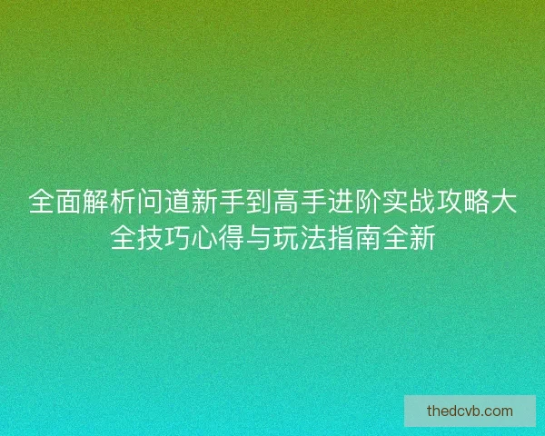 全面解析问道新手到高手进阶实战攻略大全技巧心得与玩法指南全新