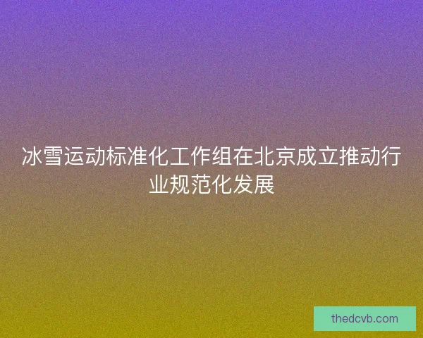 冰雪运动标准化工作组在北京成立推动行业规范化发展 冰雪运动标准化工作组在北京成立推动行业规范化发展