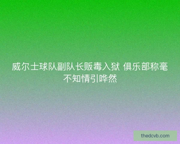 威尔士球队副队长贩毒入狱 俱乐部称毫不知情引哗然